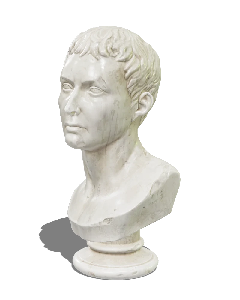 A classical marble bust